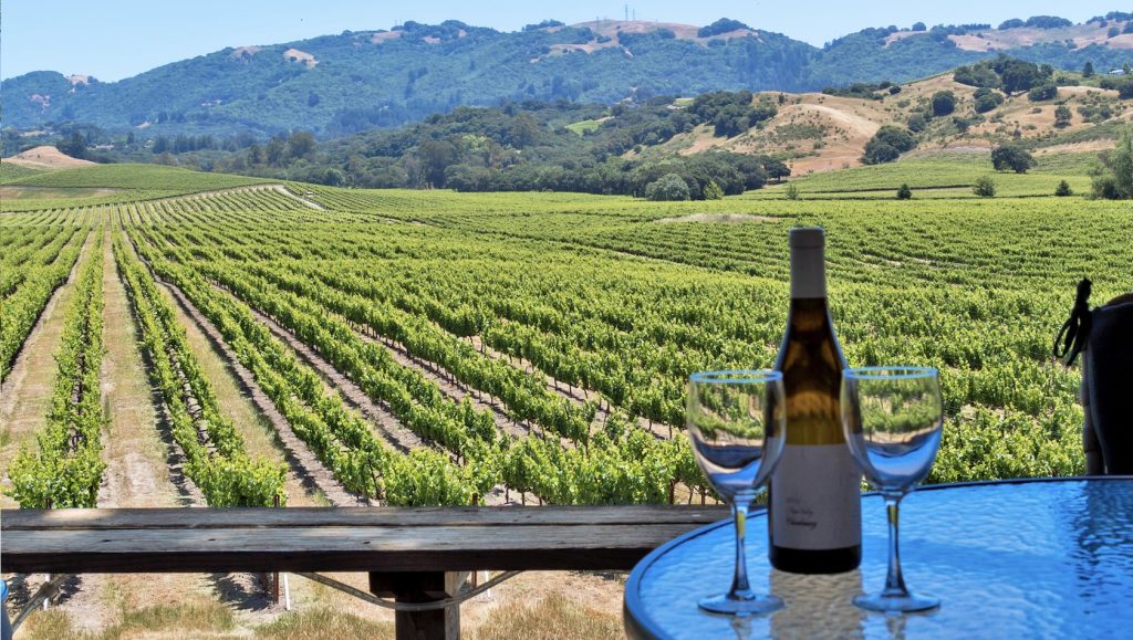 A view of a vineyard from a porch. A bottle of wine and two glasses in the foreground.